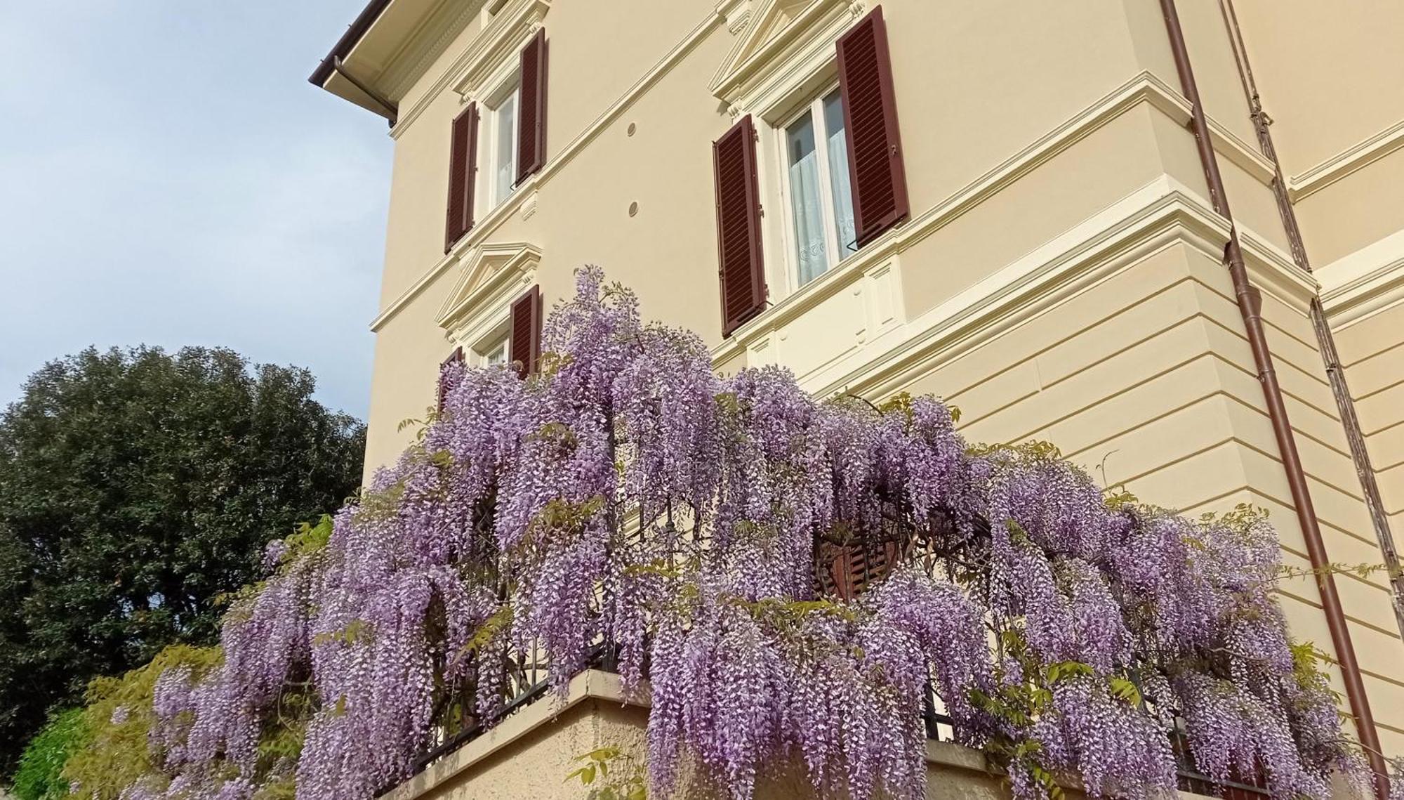 Apartamento Il Pettirosso Monsummano Terme Exterior foto